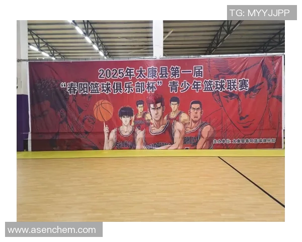 临淄区篮球明星的崛起与发展探索以及对青少年篮球的影响分析